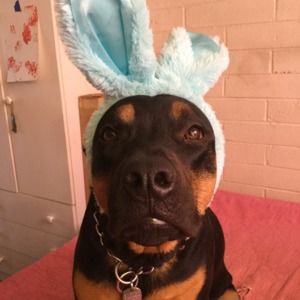 Meet your Posher, Sharona